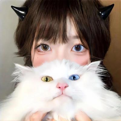 小狗吉米走私事件